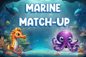 Marine Match Up